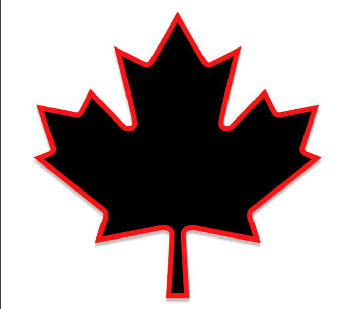 Vibgyor Maple Inc. Logo